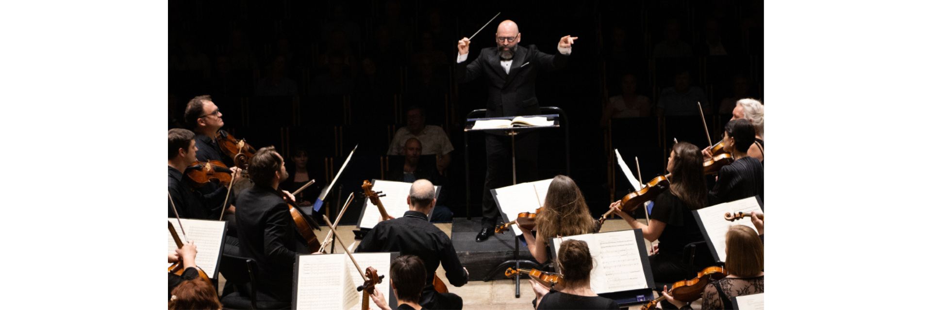 DirigentPierreBleuseaflangt