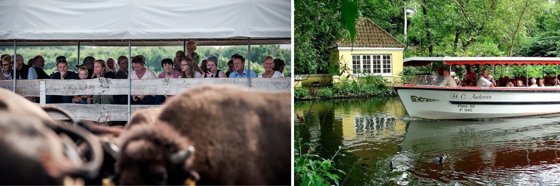 Bisonaflangtbillede