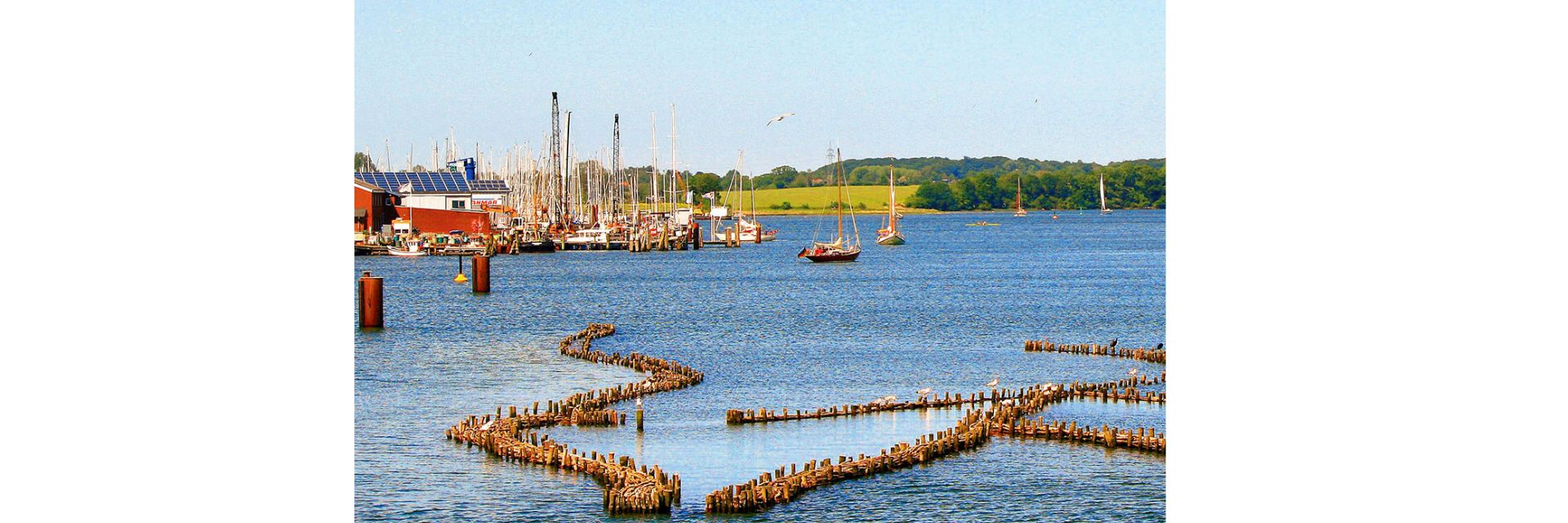 Slien_aflangtbillede