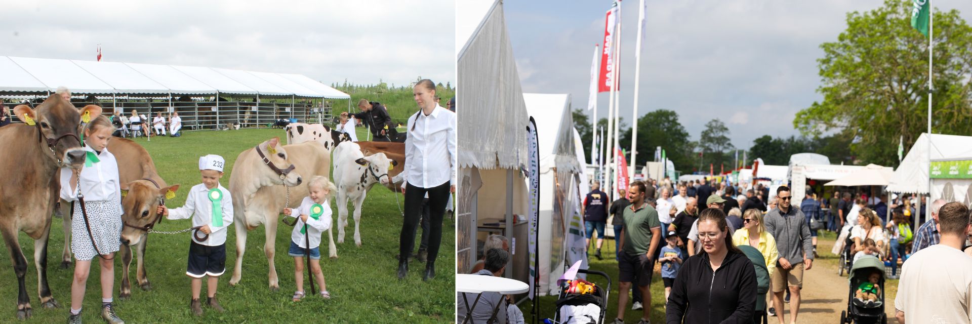 Fllesdyrskue_aflangtbillede