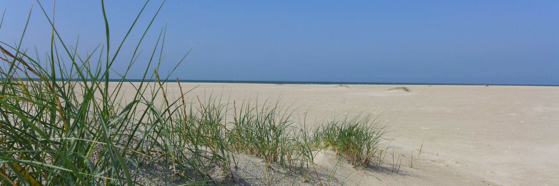 StrandogsivpFanaflangt