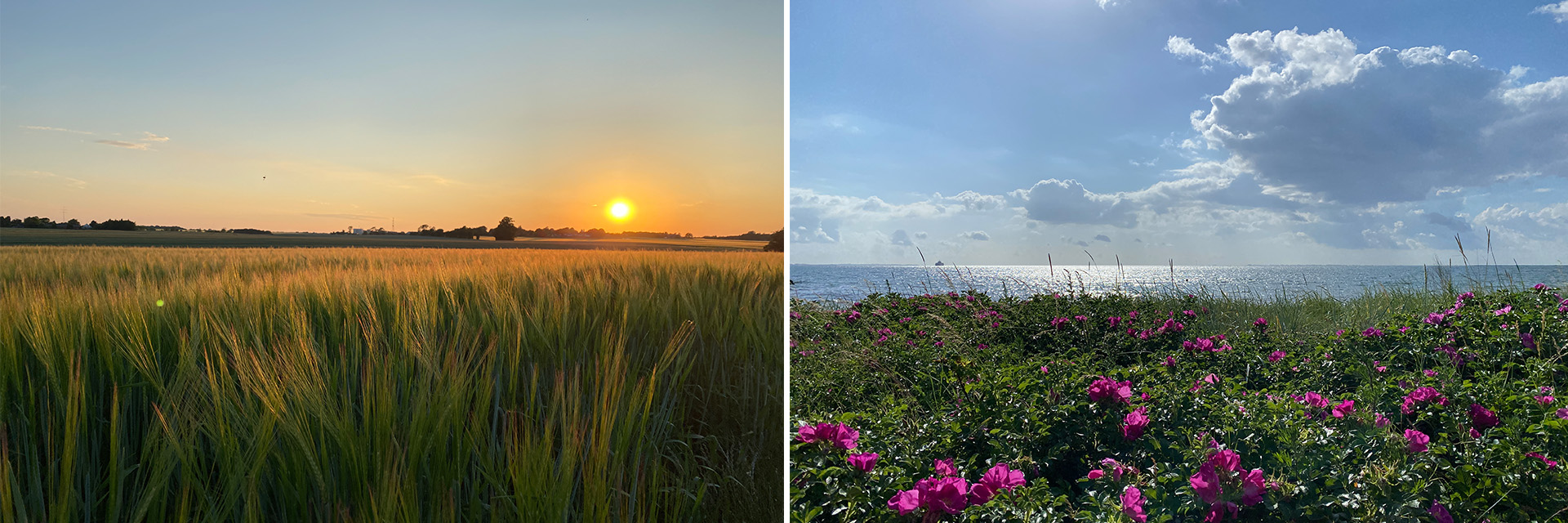 HYGGESTRANDmarkoghav