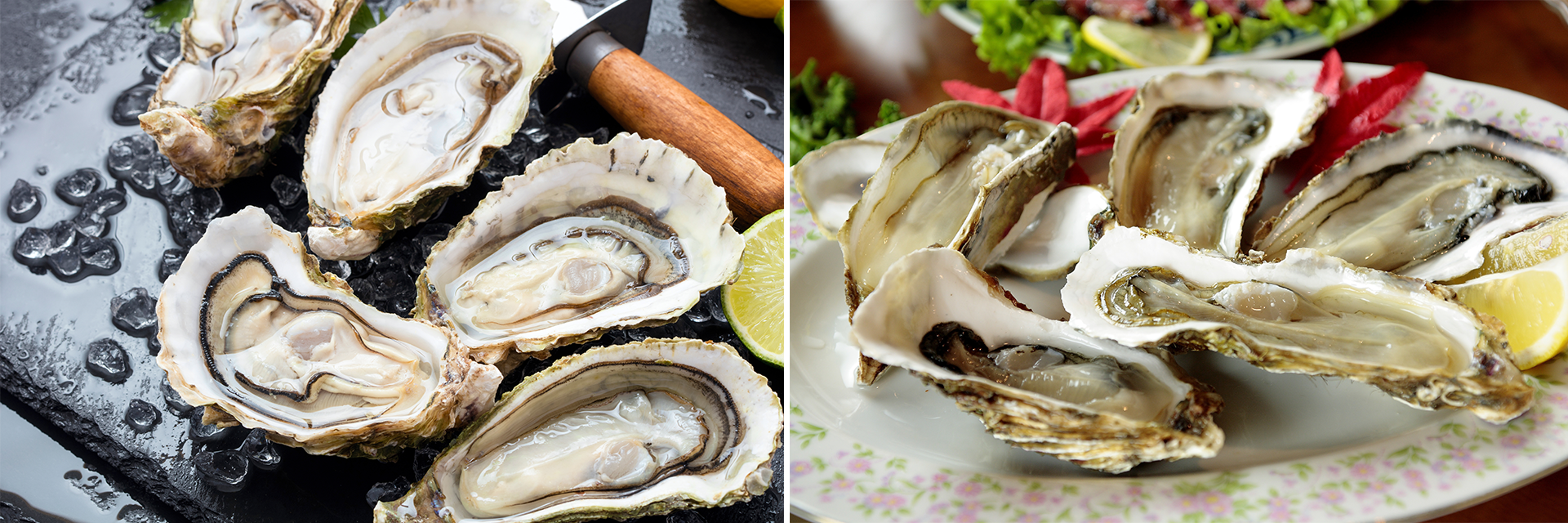 SPlitbilledeoesters