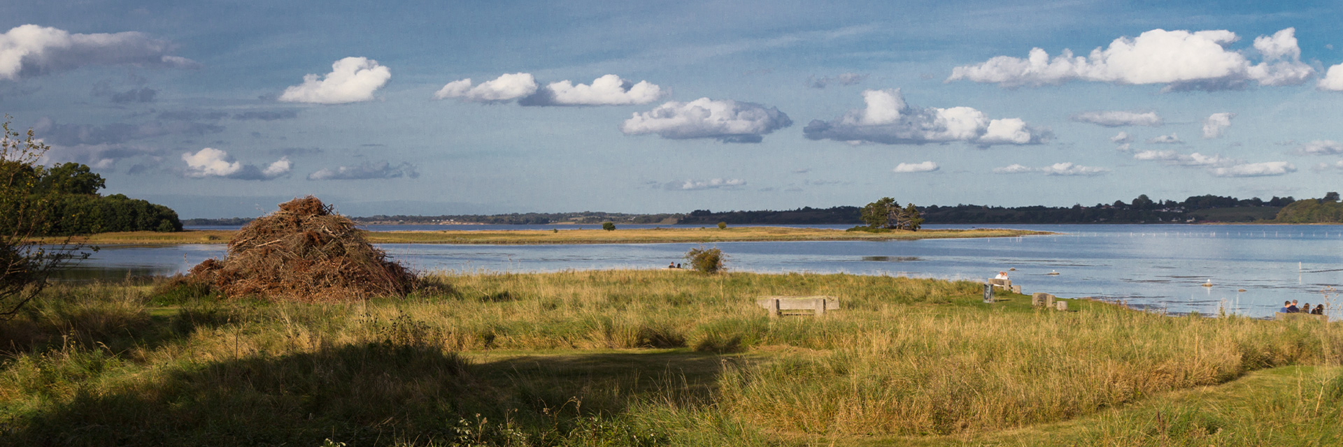 Splitbilledestrandparken