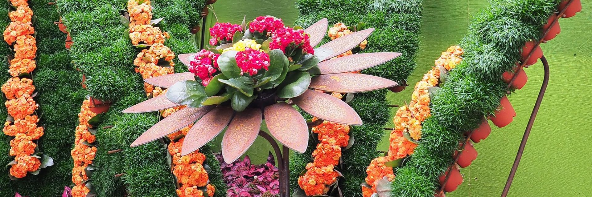 Plantesalgaflangtbillede