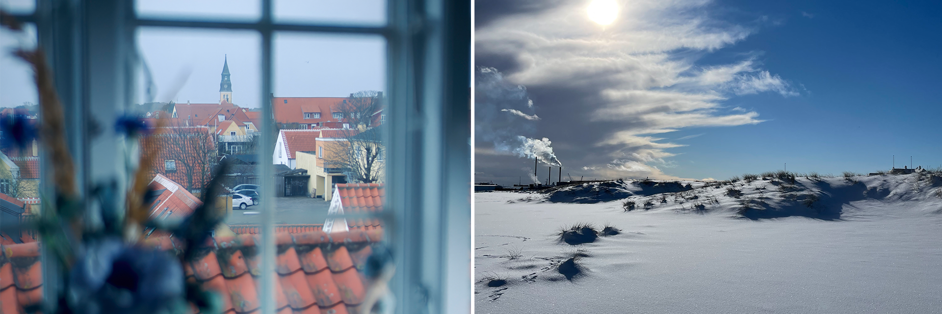 PLESNERSudsigtogstrand