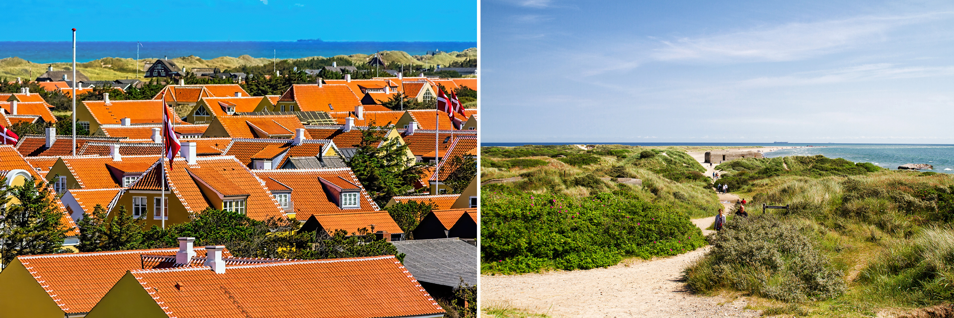 PLESNERudenforsplit1