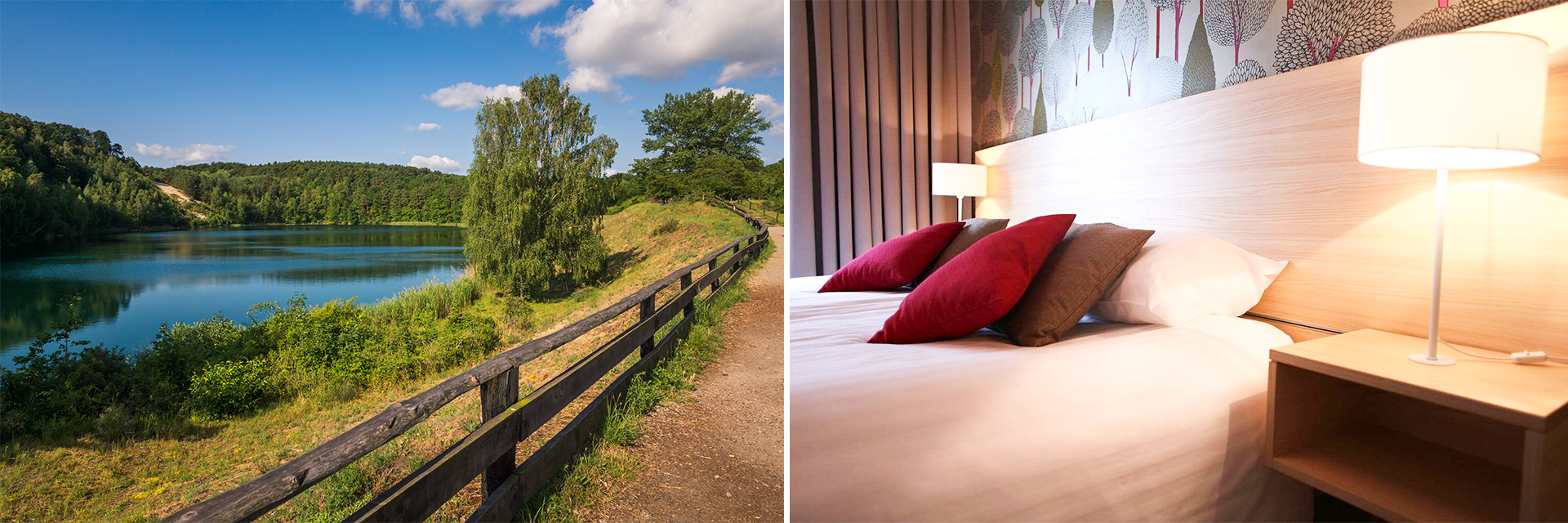 GOLDENTULIPwolinnationalparkogvaerelse