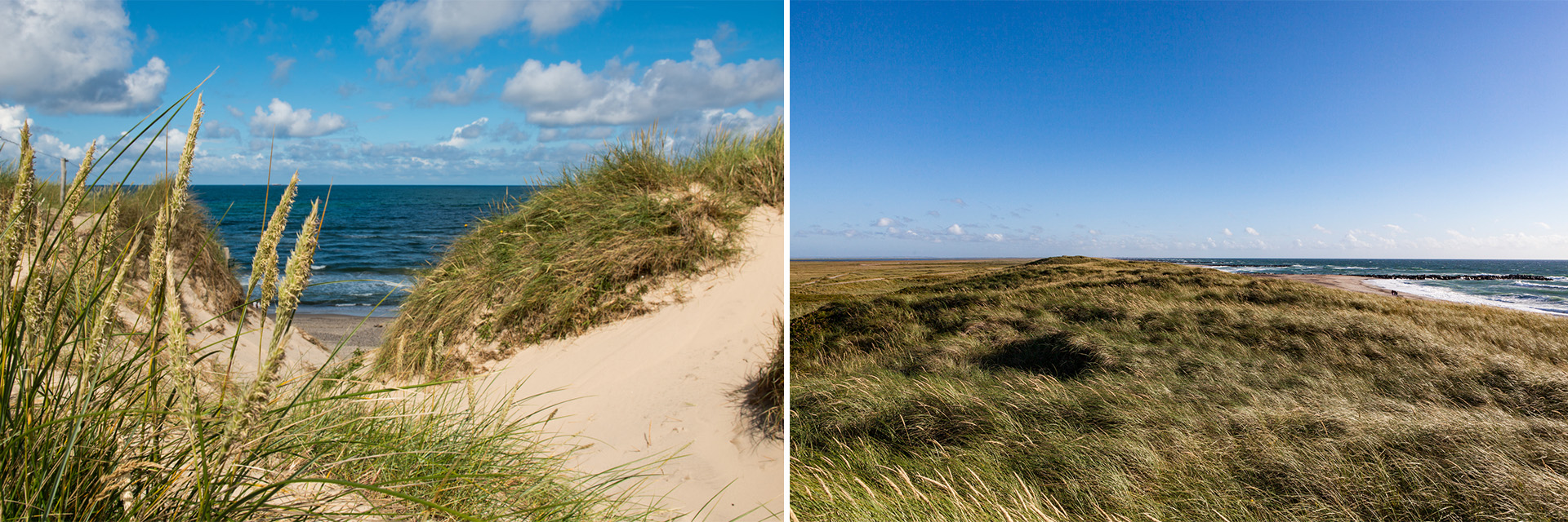 HANSTHOLMstrandoggraes