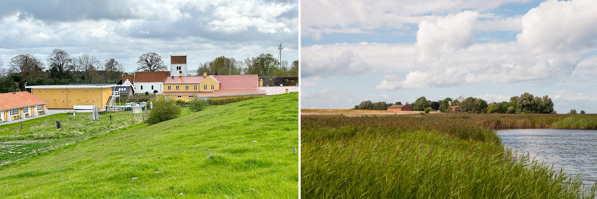 udearealogor_587464531